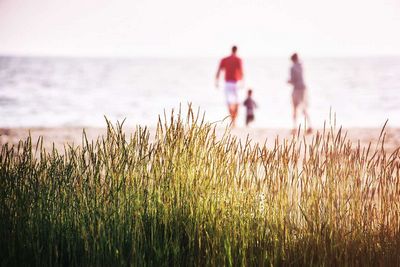 Exploring the Potential of Stem Cell Therapy Exploring the Potential of Stem Cell Therapy